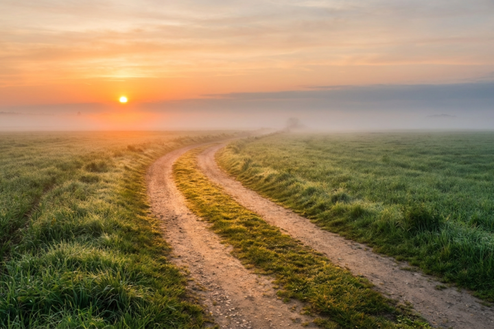 Winding path through green fields at sunrise, symbolising guidance, direction, and trusting God’s leading